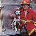 fireman-dog-crop