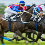 Horse racing banner
