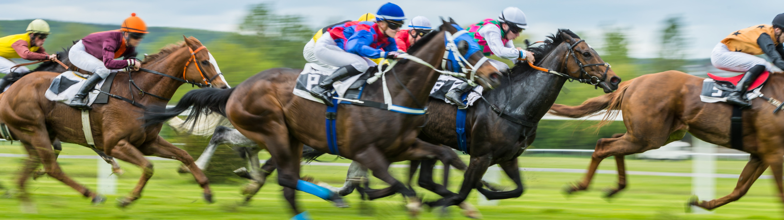 Saratoga Winner’s Circle Savings Account